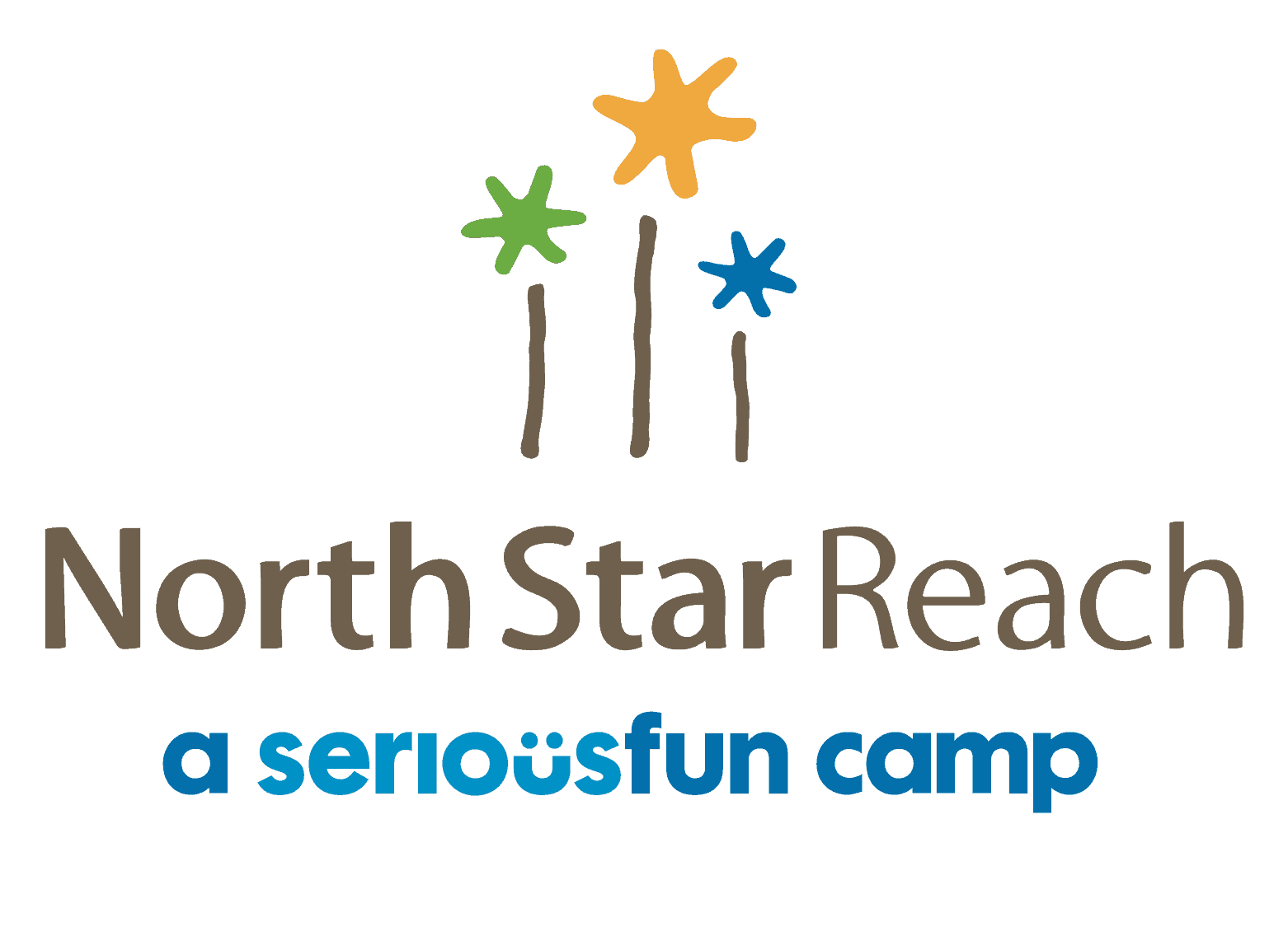 north star reach logo